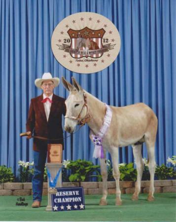 Terry Bates and Rock Point Cowboy at the 2012 All American