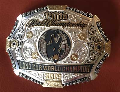World Champion Halter Donkey Buckle