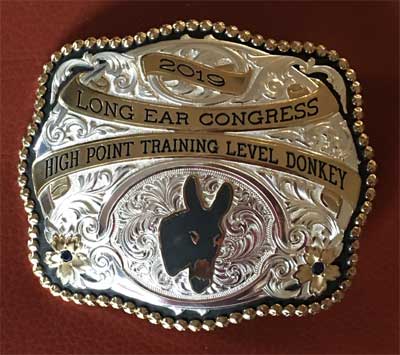 High Point Training Level Donkey Buckle